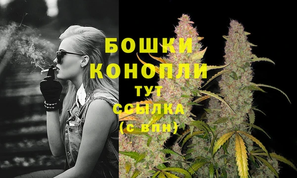 СК Строитель