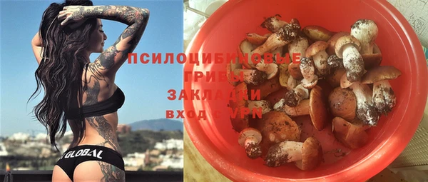 героин Богданович