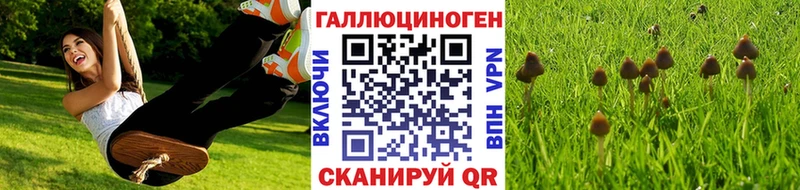 ссылка на мегу как войти Ясногорск Псилоцибиновые грибы Magic Shrooms дарнет шоп