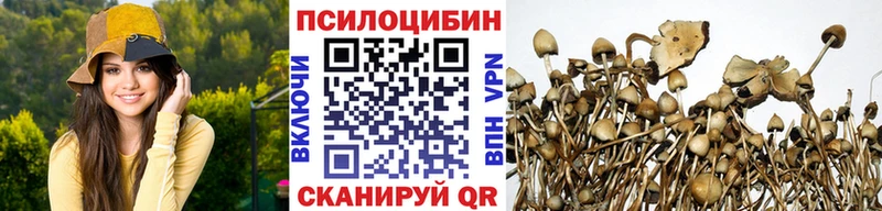 Галлюциногенные грибы мухоморы Ясногорск